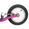 Kick Scooter inSPORTline Milester
