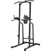 Laisvai pastatoma prisitraukimų stotis inSPORTline Power Tower PT250
