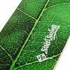 Longboardas Street Surfing Fishtail – The Leaf 42”, kinų klevas, ABEC-7