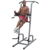 Lygiagrečių ir skersinio stovas Body Solid GKR82 4in1
