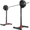 Marbo Sport Stovas jėgos pratimams-štangai Marbo MH-S201