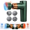 Masažo pistoletas su šildomu/vėsinamu antgaliu inSPORTline ChillFrost • 1800 mAh • 1600–2800 RPM • Iki 6 mm
