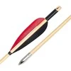 Medinės strėlės inSPORTline Timberson - 10 vnt.