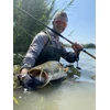 Meškerė Zfish Catfish Morga 2,70 m, 100-400g