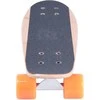 Mini Riedlentė Penny Board WORKER Bambo 22" - 2016 (Flower) - Flower