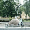 Motoroleris inSPORTline Wayomint