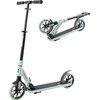 Motoroleris inSPORTline Wayomint