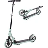 Motoroleris inSPORTline Wayomint
