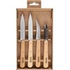 Peilių rinkinys Opinel Natural, 4 vnt. (001300)