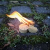 Origin Outdoors ugnies įskėlimo įrankis „Flame Slice“