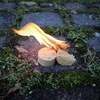 "Origin Outdoors" ugnies užtaisas "Flame Slice