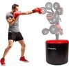 Padded Cylinder for Boxing Trainer inSPORTline Boxheist Fix