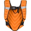 Pasunkinta liemenė inSPORTline Klaper 5kg