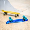 Penny Board WORKER Mirria C9 22"