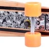 Mini Riedlentė Penny Board WORKER Bambo 22" - 2016 (Flower) - Flower