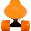 Pennyboardas WORKER Aspy C5 22”