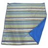 Pledas piknikams Cattara Spring – mėlynas-dryžuotas 150 x 150 cm