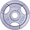 Plieninis svoris grifui 30mm inSPORTline Hamerton 5kg