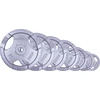 Plieninis svoris grifui 30mm inSPORTline Hamerton 5kg