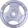 Plieninis svoris grifui 30mm inSPORTline Hamerton 20kg