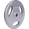 Plieninis svoris grifui 30mm inSPORTline Hamerton 25kg