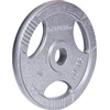 Plieninis svoris grifui 30mm inSPORTline Hamerton 10kg