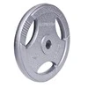 Plieninis svoris grifui 30mm inSPORTline Hamerton 25kg