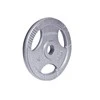 Plieninis svoris grifui 30mm inSPORTline Hamerton 10kg