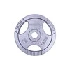 Plieninis svoris grifui 30mm inSPORTline Hamerton 10kg