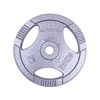 Plieninis svoris grifui 30mm inSPORTline Hamerton 20kg