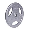 Plieninis svoris grifui 30mm inSPORTline Hamerton 20kg