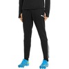 Puma Kelnės Vyrams TeamLiga Training Pants Juodas 657242 03