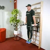 Sieninės lygiagretės atsispaudimams inSPORTline LCR-11114B