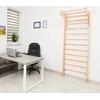 Skersinis montuojamas prie sienelės inSPORTline Directline 65 cm