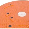 "Twister inSPORTline Magnetic