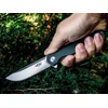 Sulankstomas peilis Ganzo Firebird FH11-GB