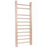 Švediška gimnastikos sienelė inSPORTline Steadyline 220x65cm