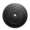 Svoris grifui su cementiniu užpildu 30mm inSPORTline 15kg