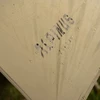 Tarpas Alpinus Zagros žalias
