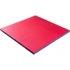 Tatami dėlionės kilimėlis inSPORTline Malmeida 100 x 100 x 4 cm