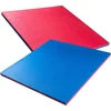 Tatami dėlionės kilimėlis inSPORTline Malmeida 100 x 100 x 4 cm
