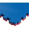 Tatami Puzzle Mat inSPORTline Malmeida 100 x 100 x 4 cm
