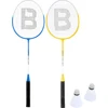 Toyrific Profesionalus badmintono komplektas 2 žaidėjams
