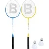 Toyrific "Pro Baseline" badmintono rinkinys 2 žaidėjams