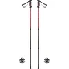Trekking Poles FERRINO GTA SS23
