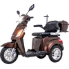 Triratis elektrinis paspirtukas inSPORTline Zorica