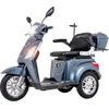 Triratis elektrinis paspirtukas inSPORTline Zorica