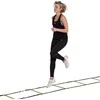 Vikrumo / greičio / treniruočių kopetėlės inSPORTline CF080.2 950cm
