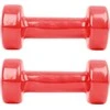 Viniliniai aerobikos hanteliukai inSPORTline 2 x 1,5kg
