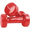 Viniliniai aerobikos hanteliukai inSPORTline 2 x 1,5kg